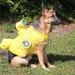 Dog Costume - Yellow Submarine